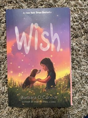Wish by Barbara O'Connor - Purple & Pink Illustrated Hardcover